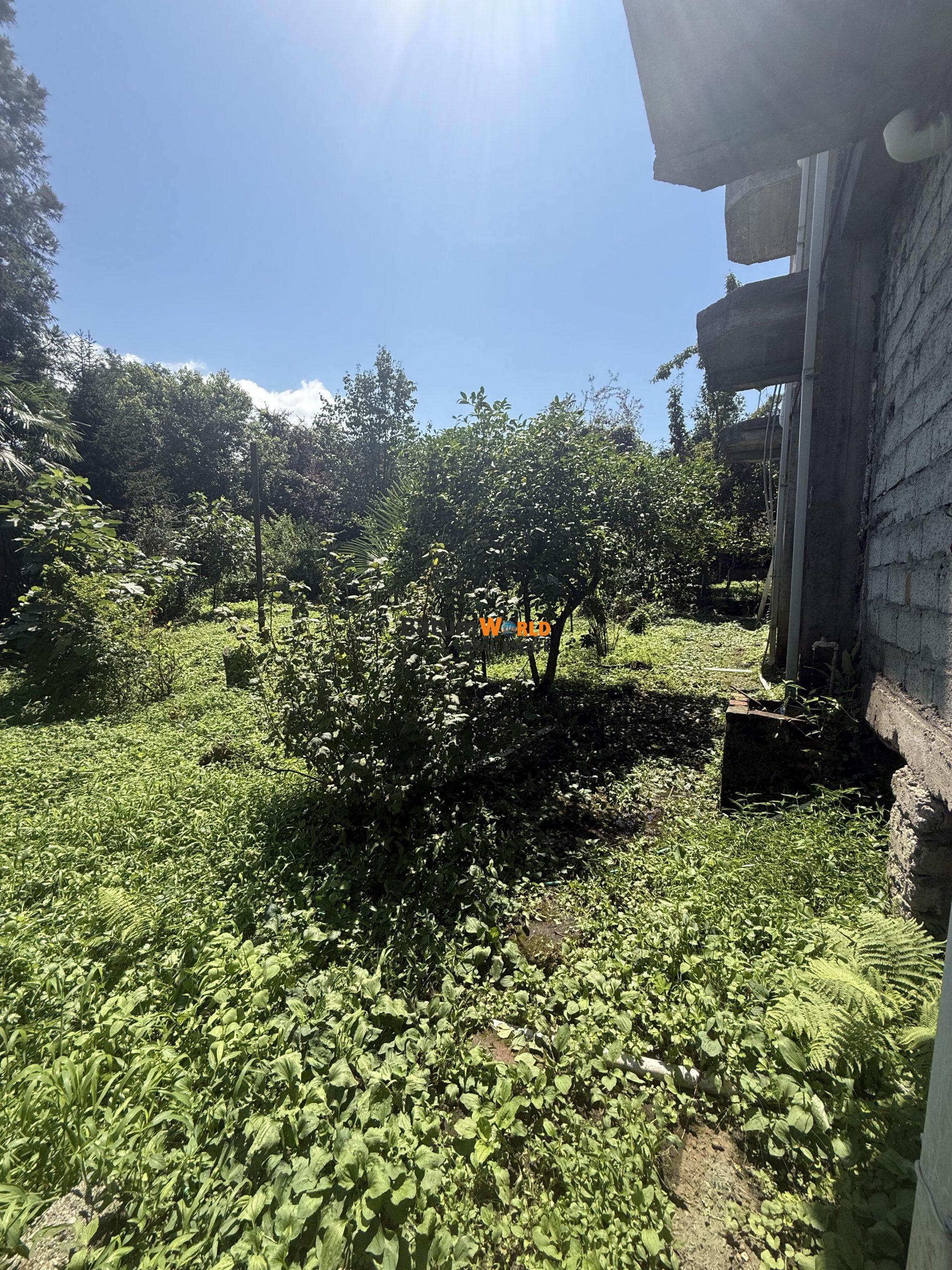 2025-1043-Makhinjauri'de Geniş Yeşil Bahçeli Geniş Müstakil Ev 1.650.000 usd