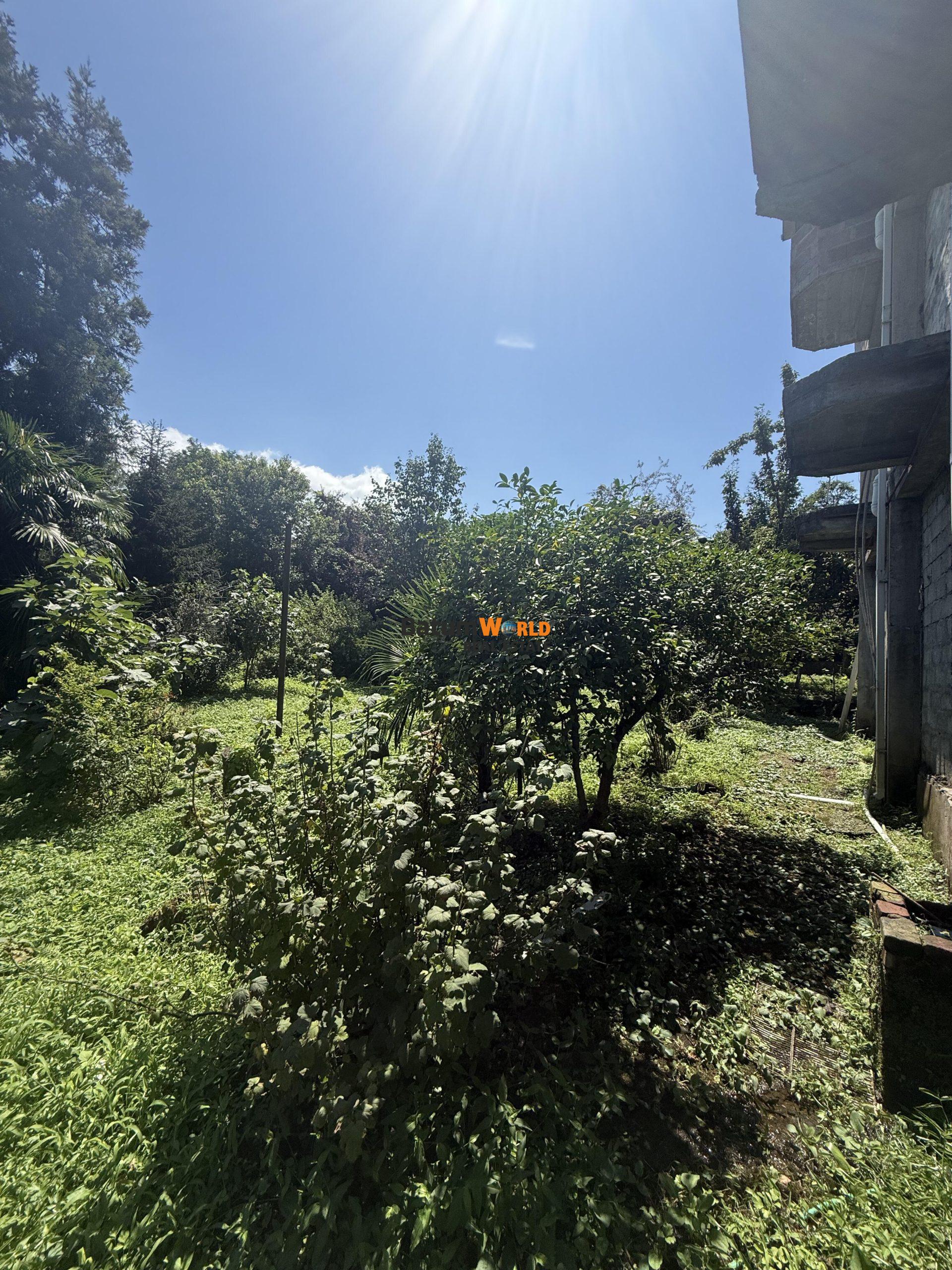 2025-1043-Makhinjauri'de Geniş Yeşil Bahçeli Geniş Müstakil Ev 1.650.000 usd